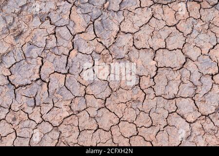 Nahaufnahme. Naturhintergrund von geknackten trockenen Ländern. Natürliche Textur des Bodens mit Rissen. Leblose Wüste auf Erden. Stockfoto