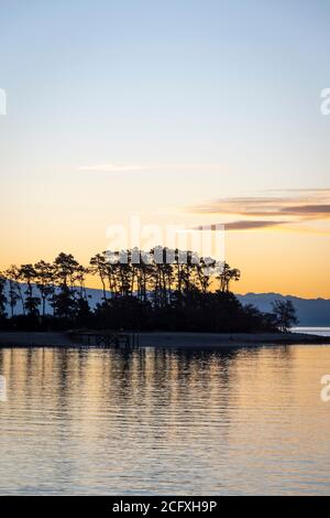 Bäume auf der Insel in Tasman Bay, Nelson, Südinsel, Neuseeland Stockfoto