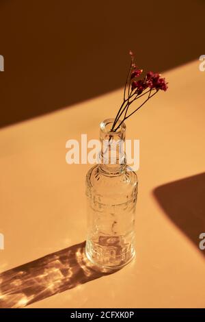 Stillleben von verschiedenen Gläsern und Texturen von Früchten mit harten Schatten, die einen sommerlichen Look geben. Stockfoto