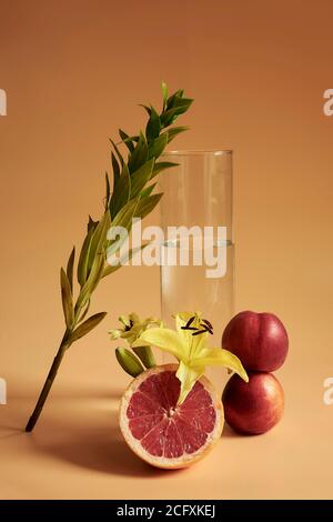 Ein Stillleben von Blatt, das auf einem Glas Wasser mit einer gelben Blume und Pfirsichen über einem orangefarbenen Hintergrund führt, was einen monochromatischen Look macht. Stockfoto