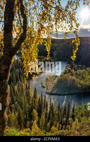Herbstansicht in Oulanka National Park Landschaft Stockfoto