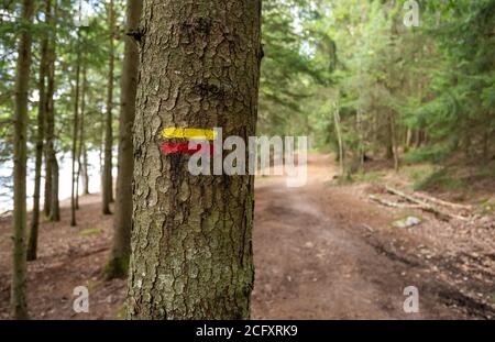 Gelbe und rote Markierung auf einem Baum gemalt, um Wanderer auf einem Fernwanderweg oder "GR Pays" in französisch zu unterstützen und zu führen. Stockfoto