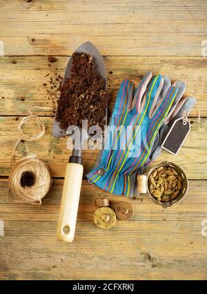 Schaufel, Samen und Handschuhe auf Holz Stockfoto