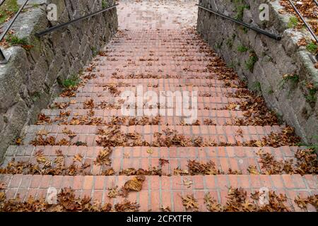 Alte Außentreppe in einem Park mit Herbstblättern bedeckt Stockfoto