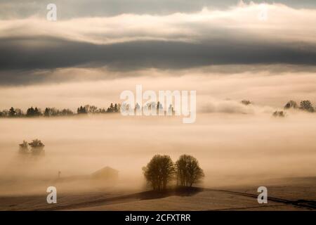 Geographie / Reisen, Deutschland, Bayern, Grossweil, Nebellandschaft, Kochelseemoos, Grossweil, Werdenfels, Additional-Rights-Clearance-Info-Not-available Stockfoto