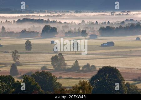 Geographie / Reisen, Deutschland, Bayern, Grossweil, Herbstnebel, Grossweil, AT Kochel, Kochelseemoos, W, Additional-Rights-Clearance-Info-not-available Stockfoto