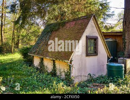 Kleines Haus mit moosbedecktem Dach im Wald. Stockfoto