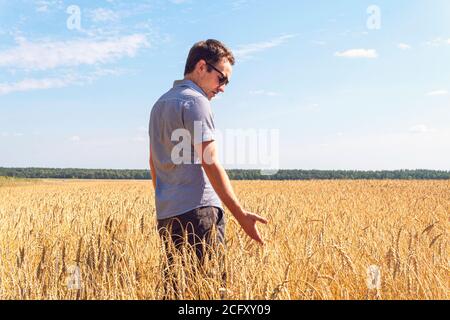 Weizenkörner in den Händen eines Bauern auf dem Weizenfeld Hintergrund. Reifes Ohr in der Hand eines Mannes. Getreideernte. Agrarthema. Stockfoto