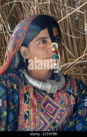 Dhaneta jat Frau tragen der Nathli Goldenen Ring, Madhari Gruppe, tolle Rann von Kutch Wüste, Gujarat, Indien. Stockfoto