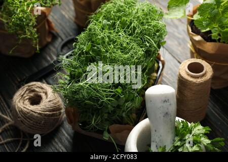 Verschiedene Kräuter, Jutefaden, Schere und Mörtel auf Holzgrund Stockfoto