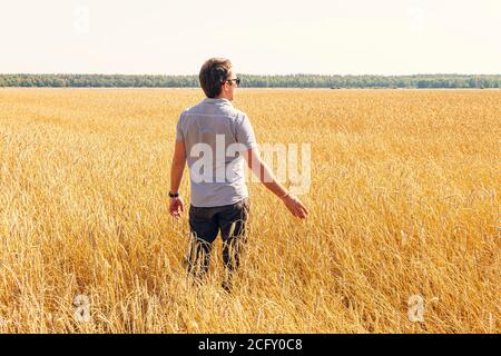 Weizenkörner in den Händen eines Bauern auf dem Weizenfeld Hintergrund. Reifes Ohr in der Hand eines Mannes. Getreideernte. Agrarthema. Stockfoto