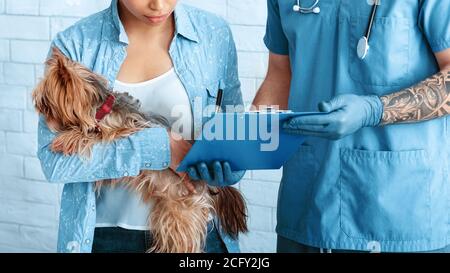 Weibliche Hund Besitzer Unterzeichnung PET-Operation Einverständniserklärung bei Tierarzt Klinik, Nahaufnahme Stockfoto