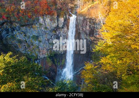 Nikko, Japan bei den Kegon Falls im Herbst. Stockfoto