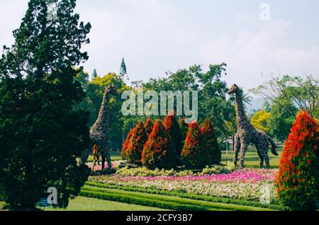 Bogor, Indonesien - EIN Blick auf den Blumen-Themenpark Taman Bunga Nusantara an einem bewölkten Nachmittag mit Blick auf ein paar Büsche in Giraffenform. Stockfoto