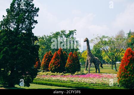 Bogor, Indonesien - EIN Blick auf den Blumen-Themenpark Taman Bunga Nusantara an einem bewölkten Nachmittag mit Blick auf einen Busch in Form einer Giraffe. Stockfoto