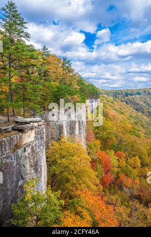 New River Gorge, West Virginia, USA Herbstlandschaft an der Endless Wall. Stockfoto