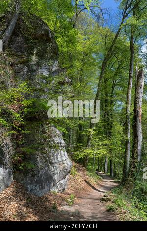 Europa, Luxemburg, Grevenmacher, Mullerthal Trail beim Schiessentumpel Wasserfall Stockfoto