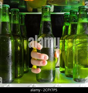 Die Hand greift nach der Bierflasche. Grüne Flaschen Bier und Tropfen Kondenswasser befinden sich auf einem Regal im Kühlschrank. Stockfoto