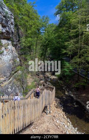 Europa, Luxemburg, Grevenmacher, Mullerthal Trail mit Stufen in der Nähe des Schiessentumpel Wasserfalls Stockfoto