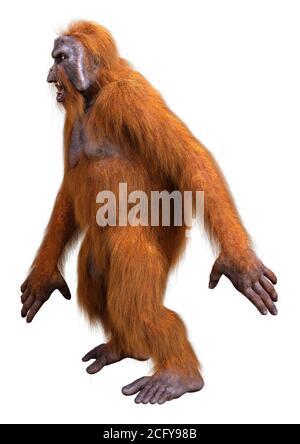 3D-Rendering eines Orang-Utan-Affen auf weißem Hintergrund isoliert Stockfoto