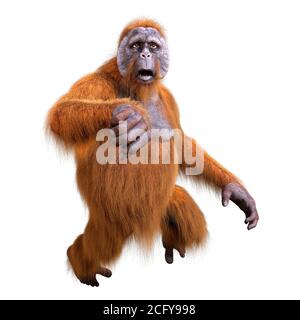 3D-Rendering eines Orang-Utan-Affen auf weißem Hintergrund isoliert Stockfoto