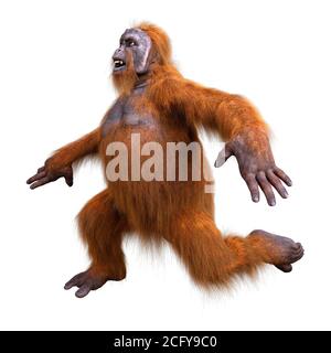 3D-Rendering eines Orang-Utan-Affen auf weißem Hintergrund isoliert Stockfoto