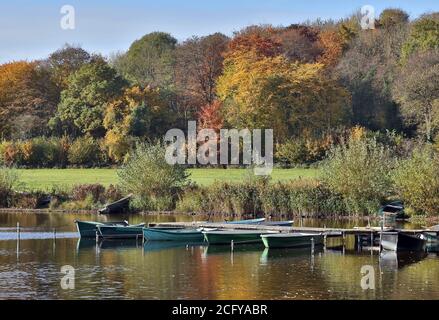 Ruderboote auf dem Kellersee, Norddeutschland im Herbst. Stockfoto