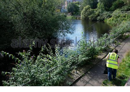 Edinburgh, Schottland, Großbritannien. September 2020. Das Wasser des Leith Conservation Trust ist seit März bei der ersten Bereinigung des Flusses im Leith Basin durch die Coronavirus-Sperre im Einsatz. Kredit: Craig Brown/Alamy Live Nachrichten Stockfoto