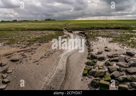 Wunderschöne Landschaft am wattenmeer mit Gras und Wasserrinnen an der Nordsee, deutschland Stockfoto