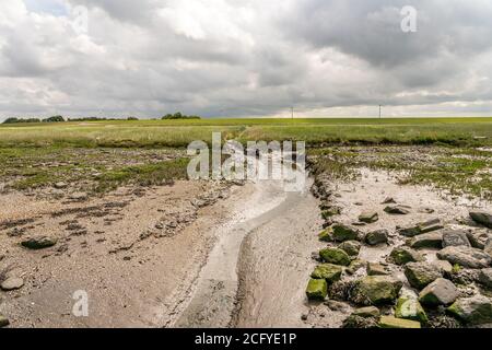 Wunderschöne Landschaft am wattenmeer mit Gras und Wasserrinnen an der Nordsee, deutschland Stockfoto