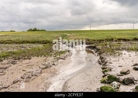 Wunderschöne Landschaft am wattenmeer mit Gras und Wasserrinnen an der Nordsee, deutschland Stockfoto