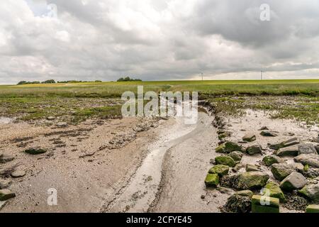 Wunderschöne Landschaft am wattenmeer mit Gras und Wasserrinnen an der Nordsee, deutschland Stockfoto