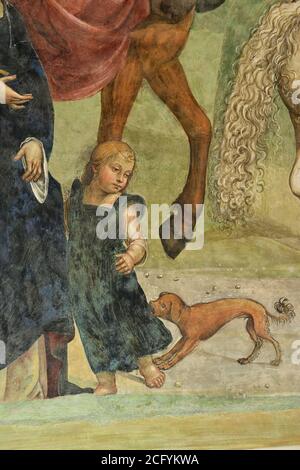 Giovanni Antonio Bazzi, auch Il Sodoma (1477-1549) genannt. Leben des heiligen Benedikt. 1505. ITALIEN. SIENA. Abtei von Monte Oliveto Maggiore. Fresko-Malerei Stockfoto