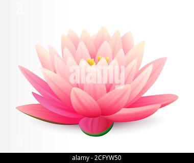 Schöne realistische rosa Lotusblume isoliert auf weißem Hintergrund, Wasserpflanze, Vektor-Illustration. Stock Vektor