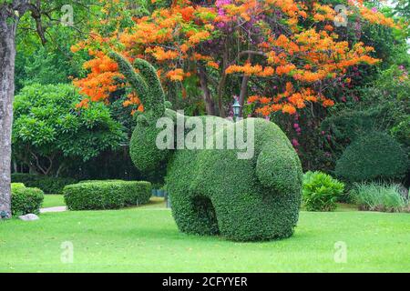 Kuscheliges topiary Kaninchen auf grünem Rasen im öffentlichen Park in Asien. Stockfoto