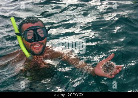 Lächelnd hübscher junger Mann in Tauchmaske schaut in die Kamera und zeigt Seeigel nach dem Schnorcheln im Karibischen Meer. Stockfoto