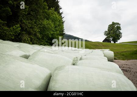 Heuballen an einem bewölkten Tag im späten Frühling (Österreichische Alpen) Stockfoto