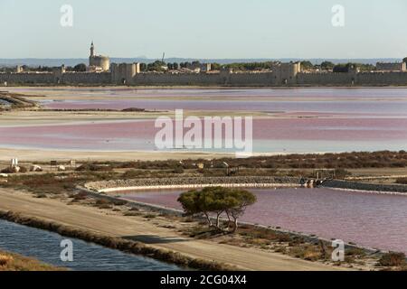 Frankreich, Gard, Aigues-Mortes, Les salins du Midi Stockfoto