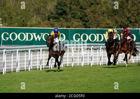 Hirsch Horn von Jockey Hollie Doyle (links) auf dem Weg zum Gewinn des Royal Sussex Regiment Handicap auf der Goodwood Racecourse, Chichester. Stockfoto