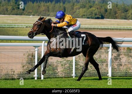 Hirsch Horn von Jockey Hollie Doyle (links) gewinnt das Royal Sussex Regiment Handicap auf der Goodwood Racecourse, Chichester. Stockfoto