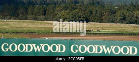 Hirsch Horn von Jockey Hollie Doyle (links) auf dem Weg zum Gewinn des Royal Sussex Regiment Handicap auf der Goodwood Racecourse, Chichester. Stockfoto