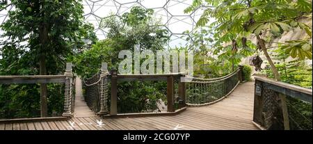 Ein Panoramablick auf das Innere der geodätischen Biom-Kuppeln des Regenwaldes im Eden Project in Cornwall. Stockfoto