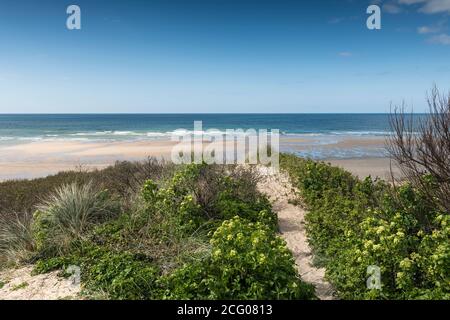 Die Vegetation wächst auf dem Sanddünensystem mit Blick auf einen völlig menschenleeren Fistral Beach in Newquay in Cornwall. Stockfoto