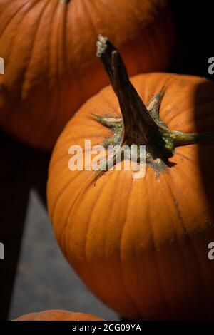 Spitze eines orangefarbenen Kürbiss Stockfoto