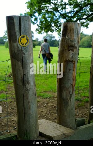 Öffentlicher Fußweg mit Stiel und Wanderer in East sussex. Stockfoto