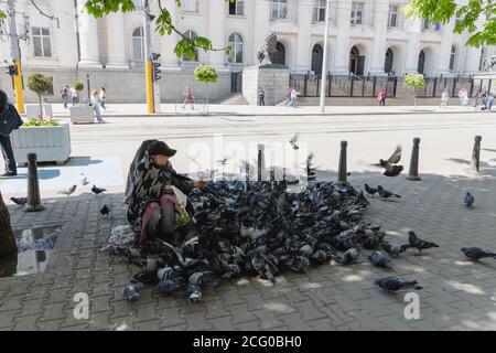 SOFIA, BULGARIEN - 3. MAI 2019: Die Vogeldame in Sofia, Bulgarien sitzt an ihrem gewohnten Platz in der Stadt vor dem Gerichtsgebäude und füttert Tauben Stockfoto