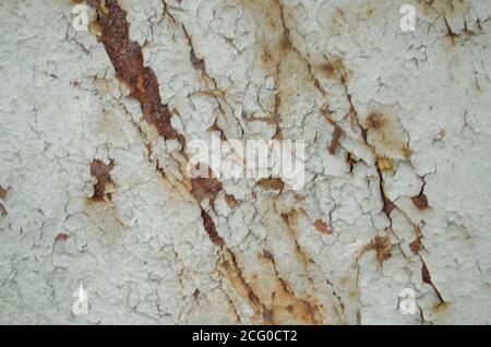 Rost und oxidierter Hintergrund. Alte Eisenplatte. Dunkelrot, braun und schwarzer Rost auf der weißen Metallplatte. Grunge verrostete Metallstruktur. Verrostete Metallwand. Stockfoto