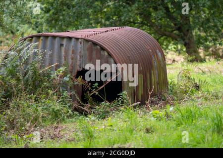 Rostige Wellblech Hütte in einem Feld Stockfoto