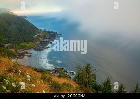 Blick vom Whispering Spruce Trail, Cape Perpetua Scenic Area, Siuslaw National Forest, Oregon Stockfoto