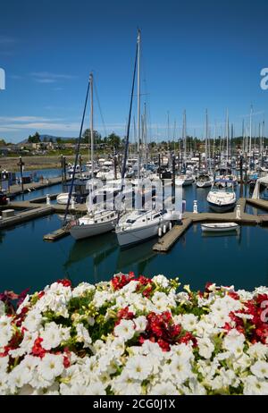 Sidney BC Marina. Sidney Marina auf Vancouver Island in der Nähe von Victoria. Stockfoto